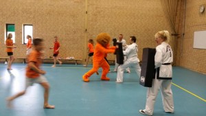 Koningsspelen Zwolle 2016 Koningsspelen Zwolle 2016