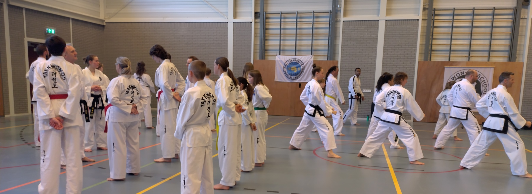 twee willekeurig samengestelde groepen van circa 12 personen bereiden een team tul voor twee willekeurig samengestelde groepen van circa 12 personen bereiden een team tul voor