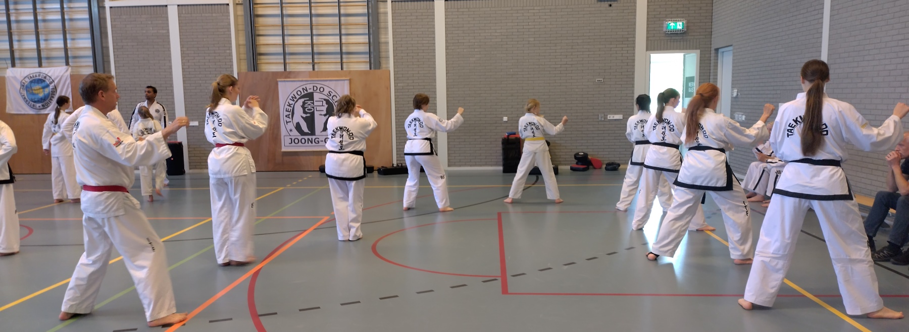Negen Taekwon-doin trainen hun team tul Negen Taekwon-doin trainen hun team tul