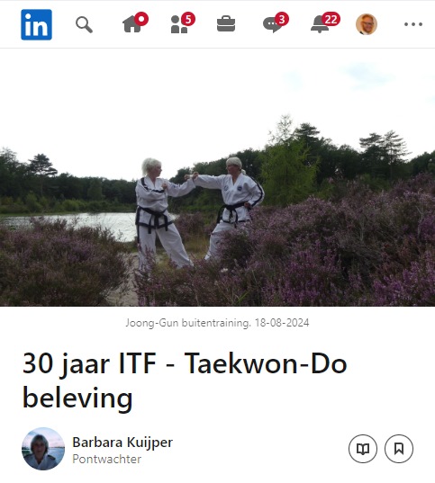 Screen shot van het Linked In artikel Screen shot van het Linked In artikel