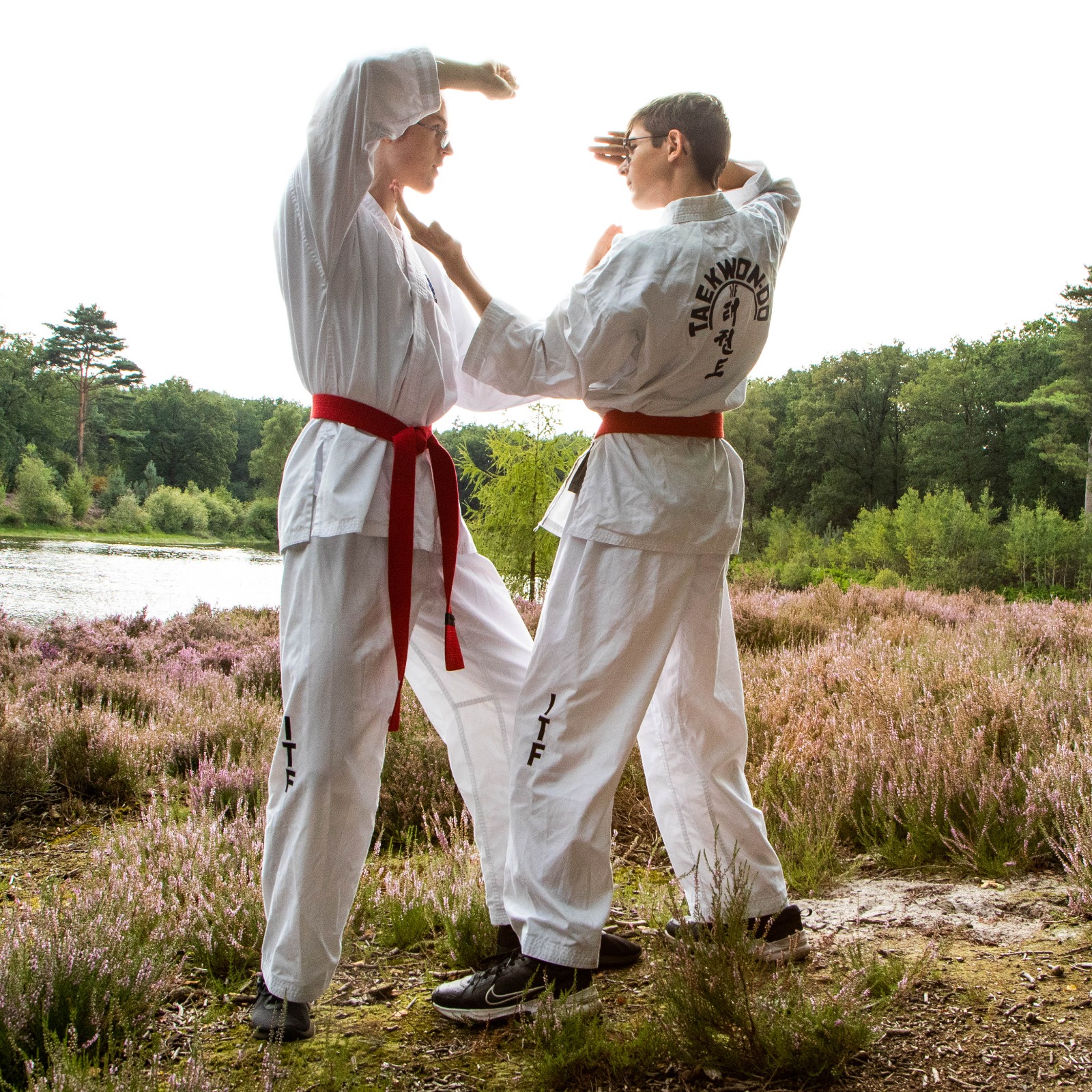 Joey en Jack in dobok op de heide