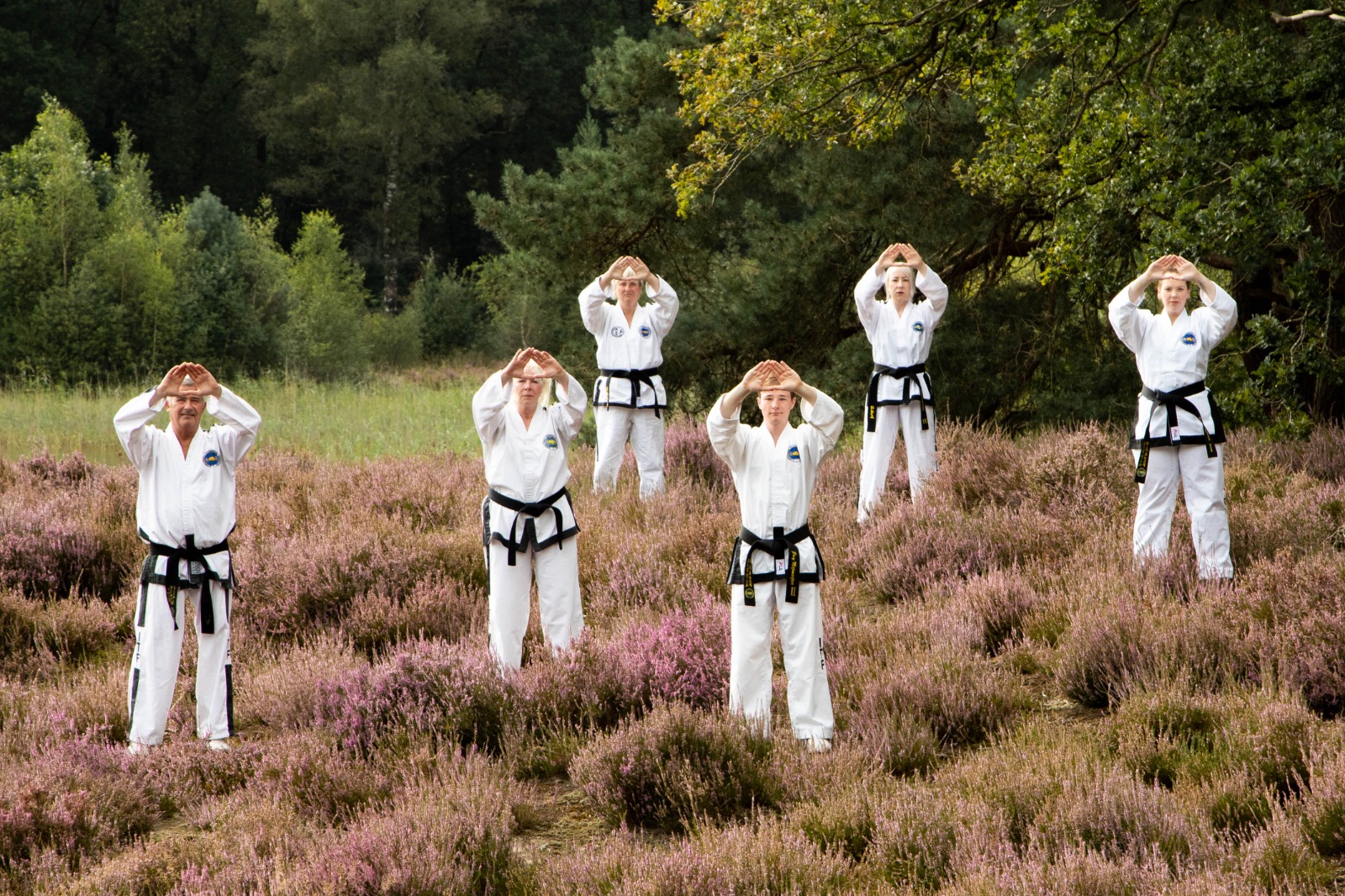 6 zwarte banders in hemelhand stand op de heide